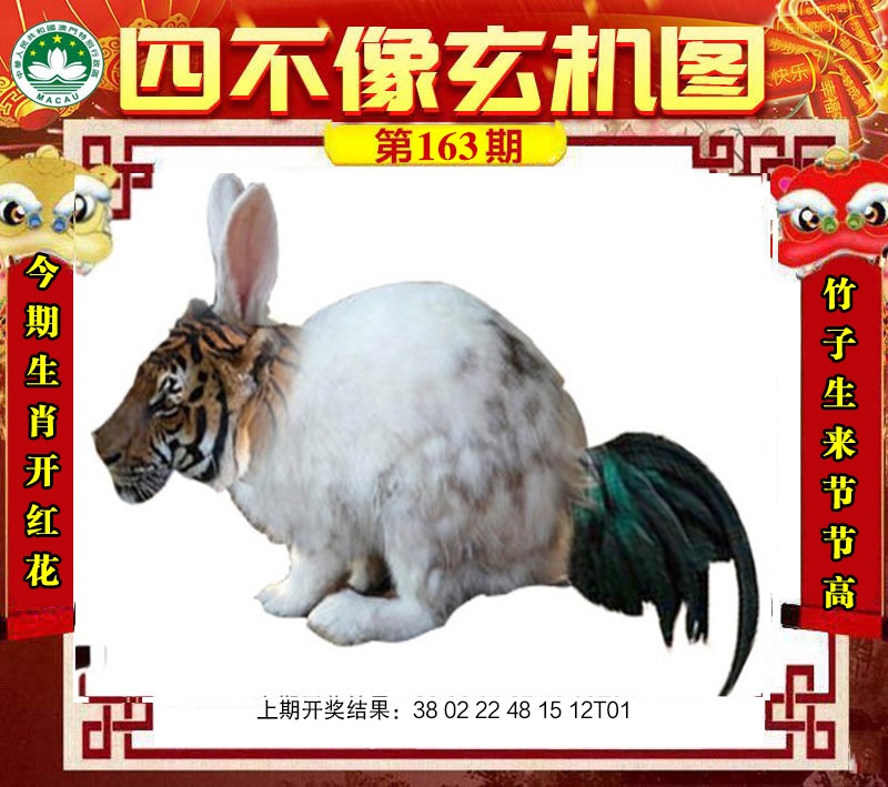 ͼƬŴ